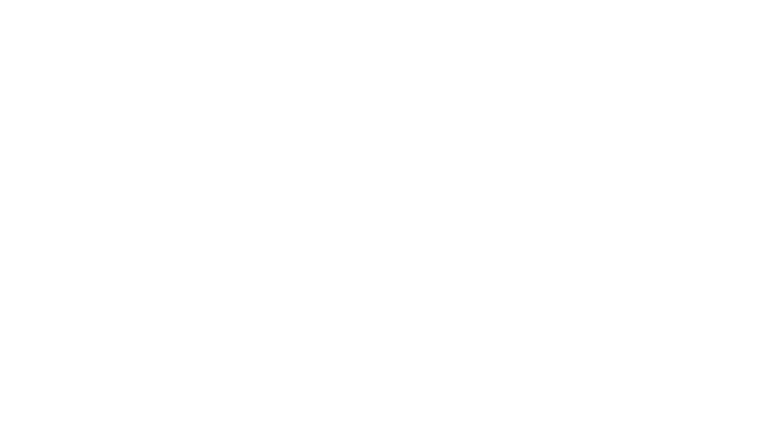 Sentinel Synthesis